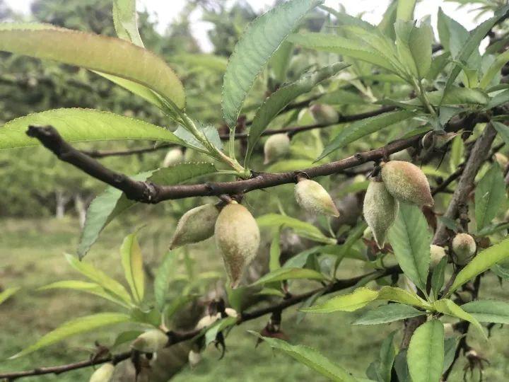 清远临时工招聘最新动态与就业市场解析