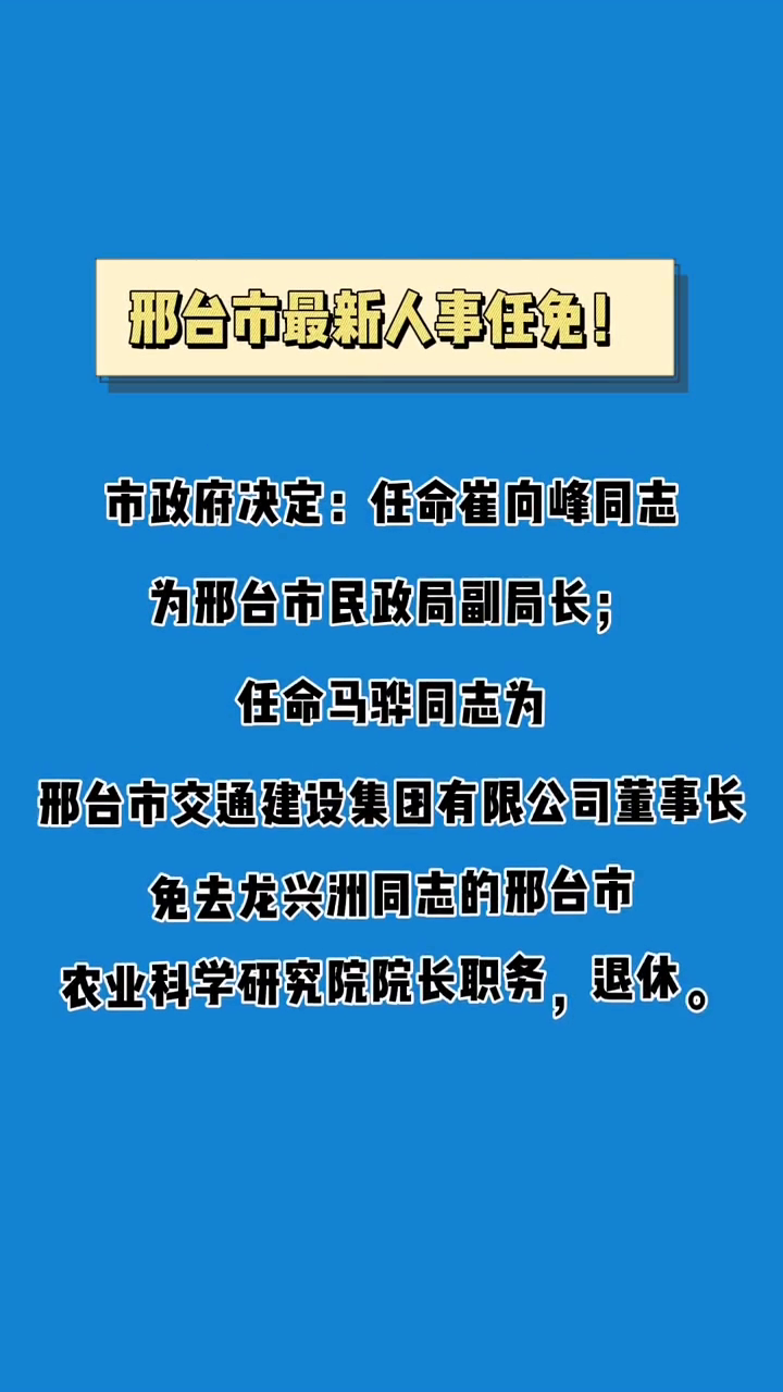 沙河市最新人事任免动态概览