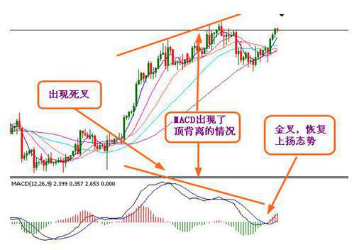 4949澳门彩开奖结果发现,广泛的解释落实方法分析_轻量版3.891