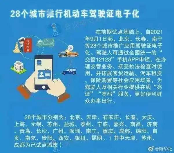 202管家婆一肖一吗,最佳实践策略实施_铂金版8.61