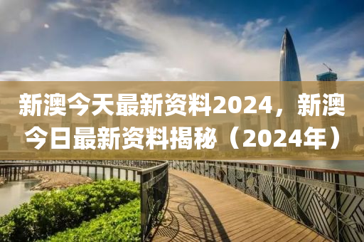 新澳2024年精准资料,标准化实施程序解析_战略集3.956