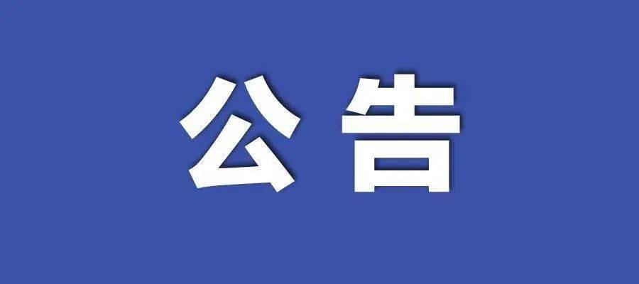 新澳2024正版资料免费公开,现代方案分析执行_简化版3.992