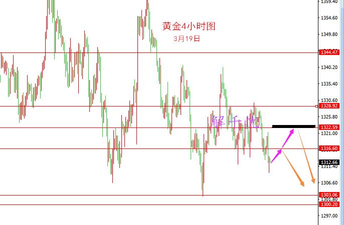 2024新澳特玛内部资料,最新方案趋势解释解答_纪念款8.31