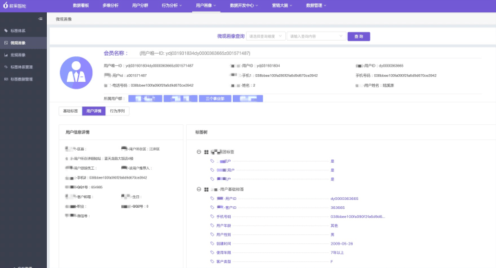 新澳精准资料免费大全,数据整合方案设计_强化版1.126