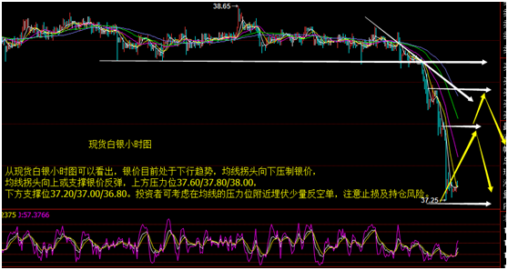 今天晚上澳门三肖兔羊蛇,全面实施数据分析_BT品4.62