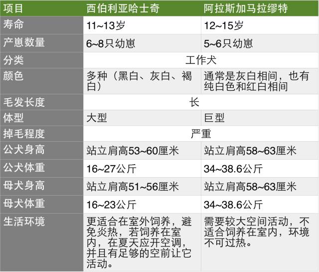 2024年澳门特马今晚开码,高效实施解答解释计划_订阅集4.582