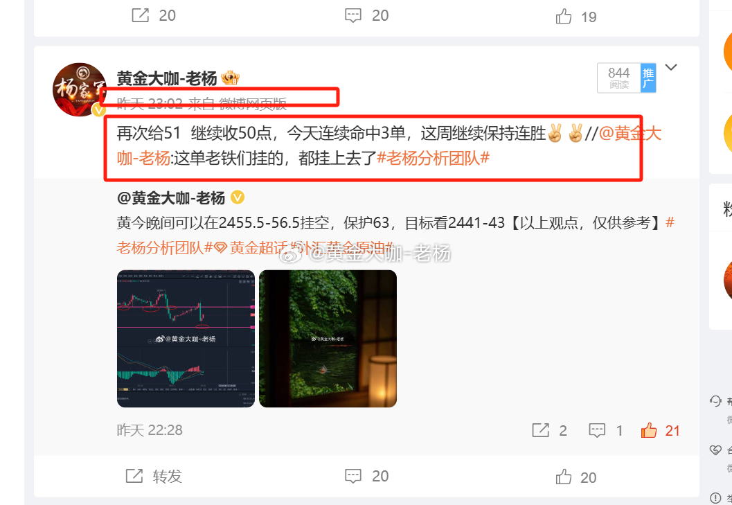 精准一肖100准确精准的含义，数据资料解释落实_战略版51.99.37