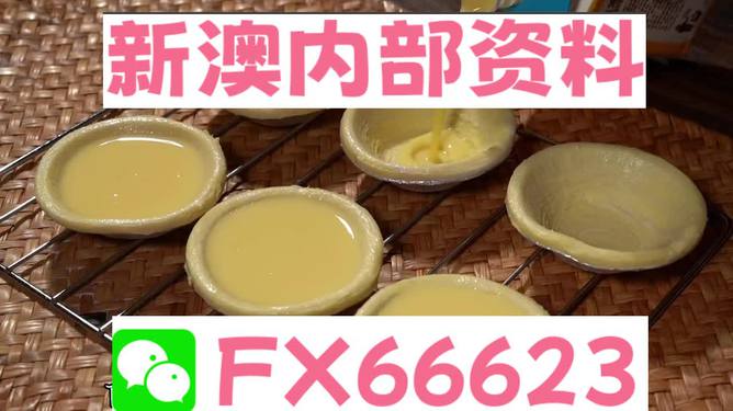 香港新澳精准资料免费提供，动态词语解释落实_The87.78.77