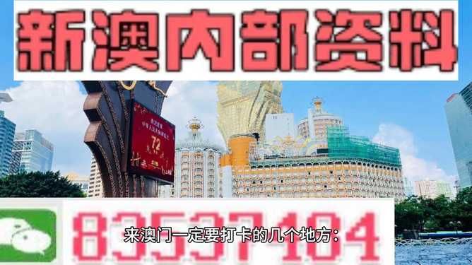 新澳内部资料精准大全,明了解答解释执行_跨界集3.431