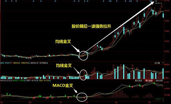 澳门今晚开特马四不像图,创新策略解答解释计划_黄金型3.173