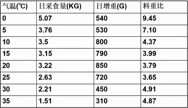 admin 第190页