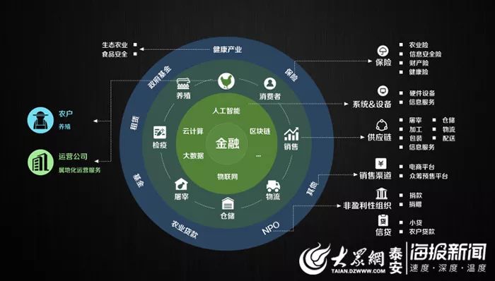 澳门今晚特马开什么号,实地数据解释定义_苹果58.901