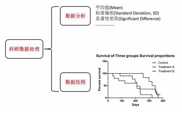 金多宝论坛资料精准24码,科学研究解析说明_soft30.366