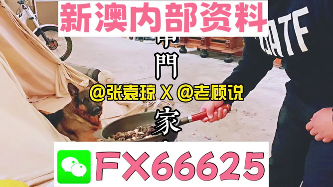 新澳门精准资料大全管家婆料,动态词语解释落实_超值版56.986