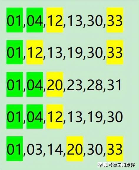 最准一肖一码一一子中特37b,实地验证策略数据_P版32.213