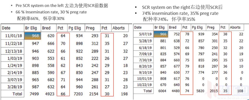 最新奶牛场配种员招聘启事，探索奶牛养殖新时代的机遇与挑战