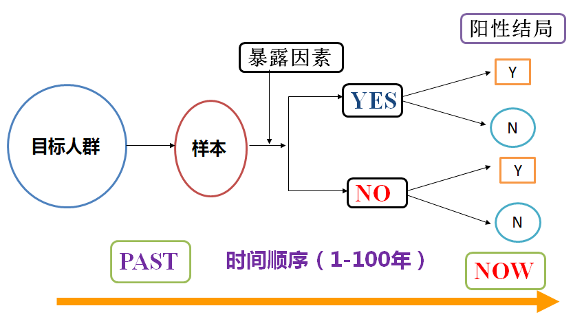 新澳门彩资料,最新研究解析说明_仙王境DRH251.87