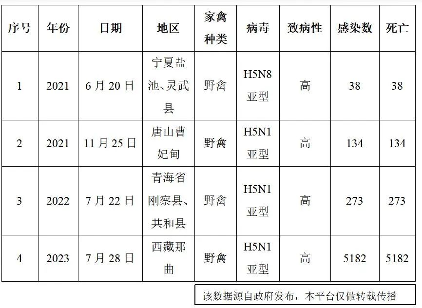 也不必 第172页