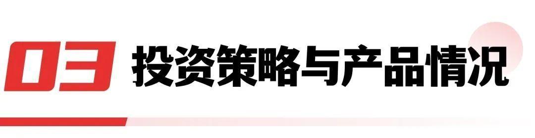 林园最新投资策略及动向，探索未来投资新领域揭秘