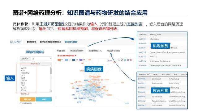 新澳精准资料免费提供网站有哪些软件下载,快速生成直观的数据可视化结果