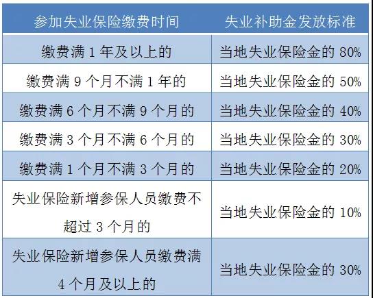 2024全年资料免费大全优势494,还大大提高了信息获取的效率