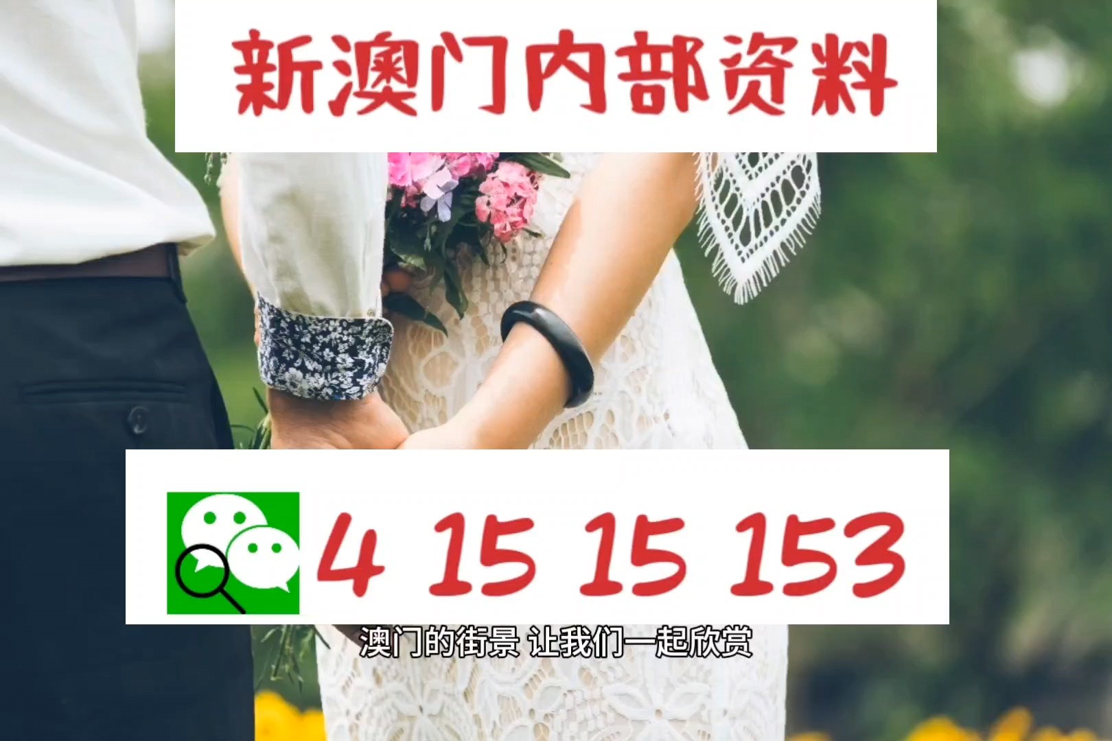 今晚澳门特马开的什么号码图谜澳门238期开什么数,图谜解析是澳门特马开奖中的一大特色