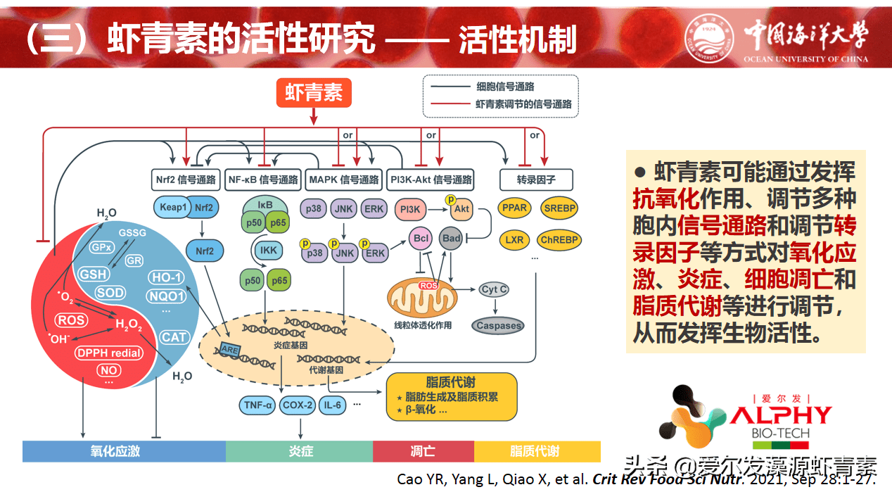 第4330页