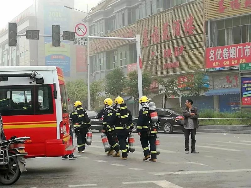 延庆火情最新动态，全力应对，坚决守护绿水青山