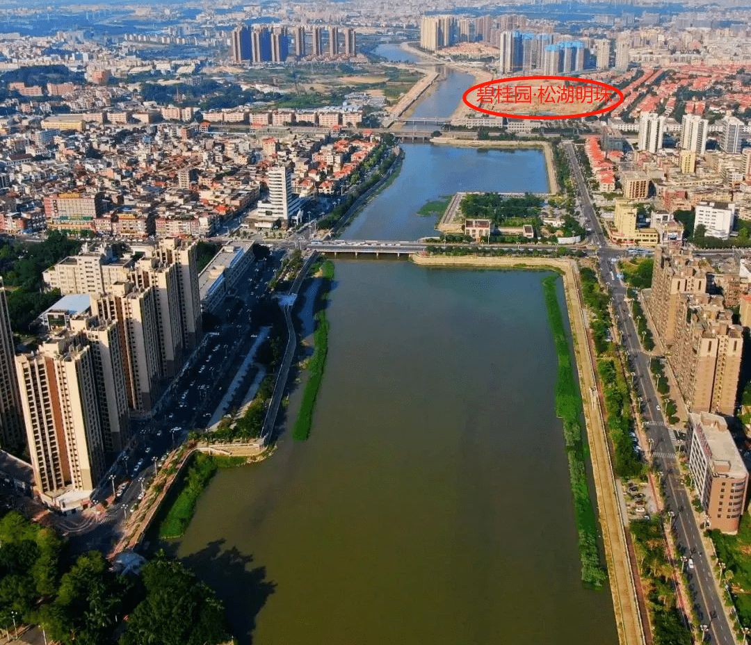 横沥发展最新动态，脉搏跳动与未来展望