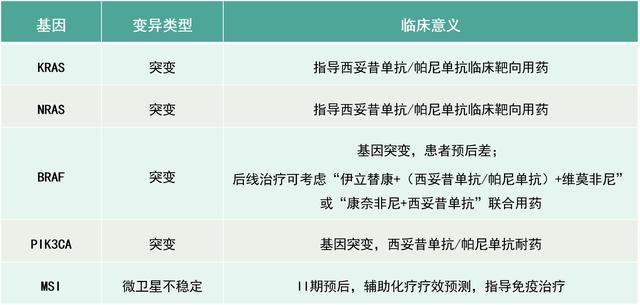 新澳精准资料免费提供510期2942期,以确保分析的全面性和准确性