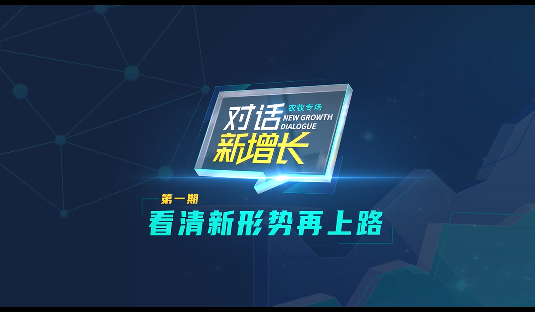 现代交流艺术探索，最新对话节目揭秘新潮流