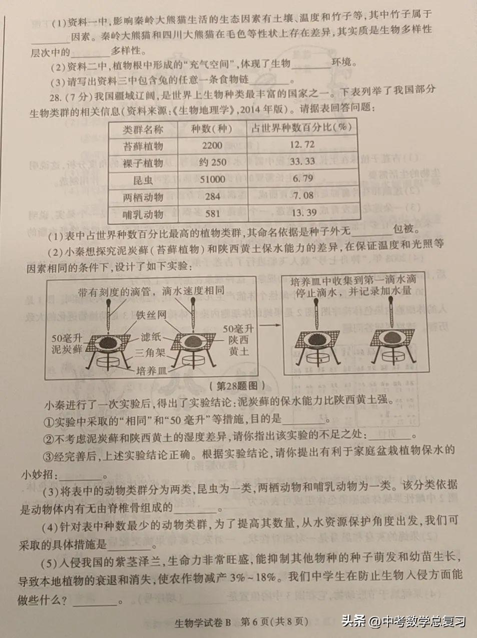 中考最新试题，探索挑战，策略应对