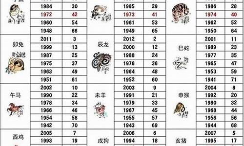 十二生肖49码表,十二生肖49码表：传统与现代的碰撞