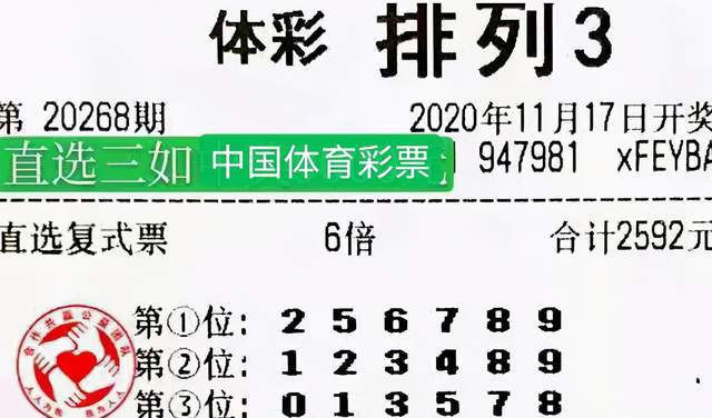 2024新奥今晚开奖号码,彩票的购买往往伴随着非理性的冲动和侥幸心理