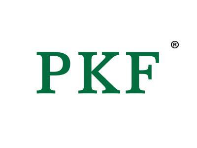 PKF最新视频，科技与生活方式的完美融合探索