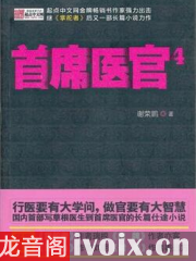 官场巅峰挑战与机遇，权力的问鼎之路