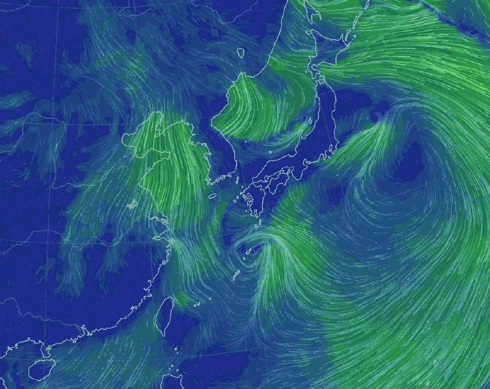 上海大风最新动态，气象报告及公众应对措施概述