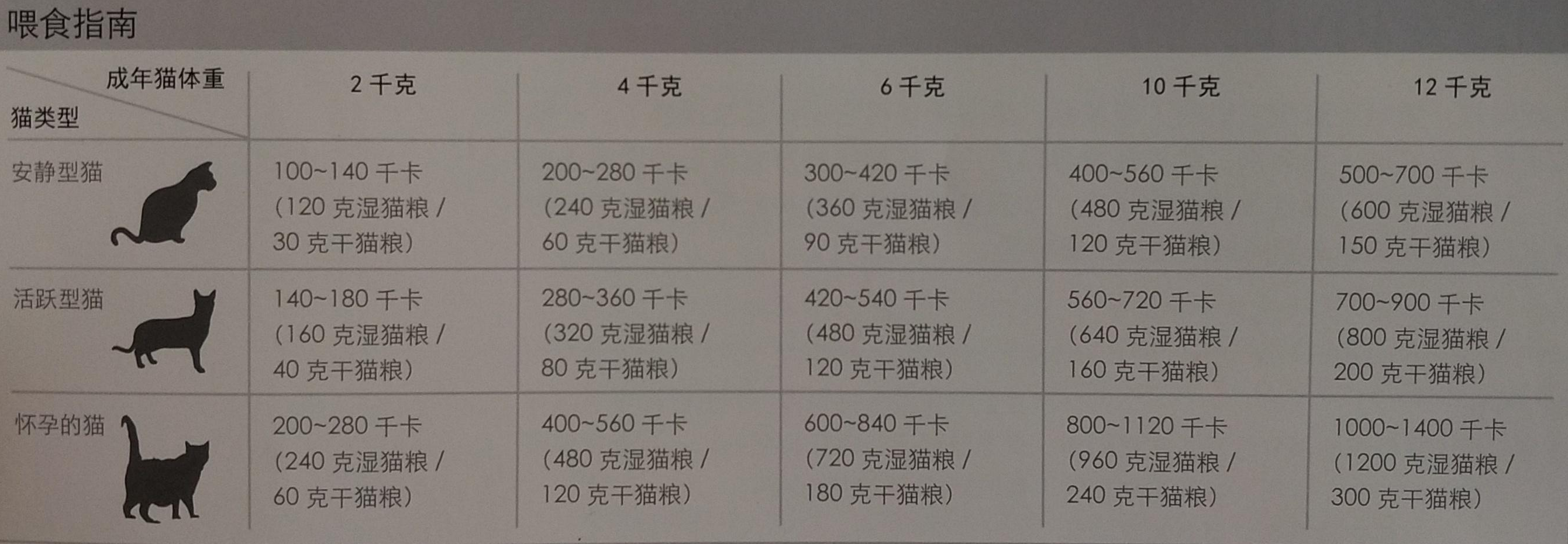 2024新澳精准资料免费提供下载,猫咪正常体重_王者版5.318