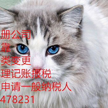 澳门开奖记录开奖结果2024,猫咪全身检查多少钱_黄金版5.49