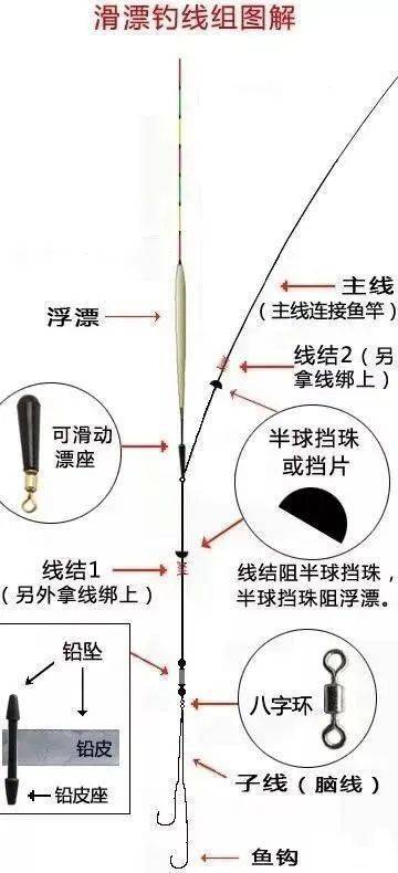 2024新澳精准资料免费提供下载,路亚假饵收线教程_人教版v6.2.219