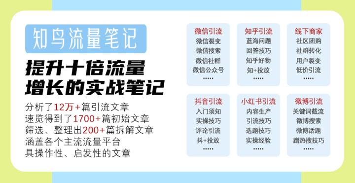 最新引流项目揭秘，新时代营销趋势与策略探索