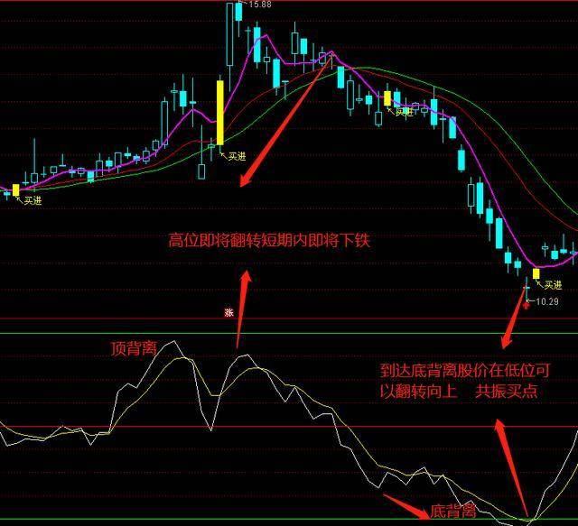 他的 第155页