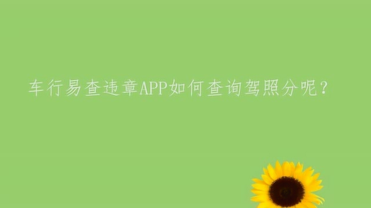 56300网站资料查询,权威数据解释定义_桌面款82.908