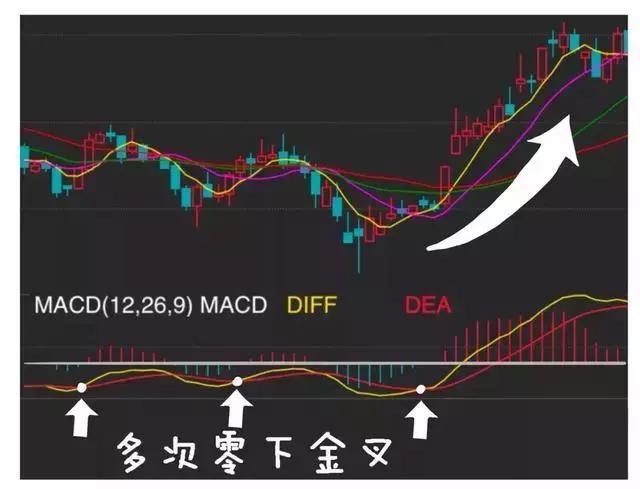 2024新澳门王中王正版,可靠性方案操作策略_安卓款48.104