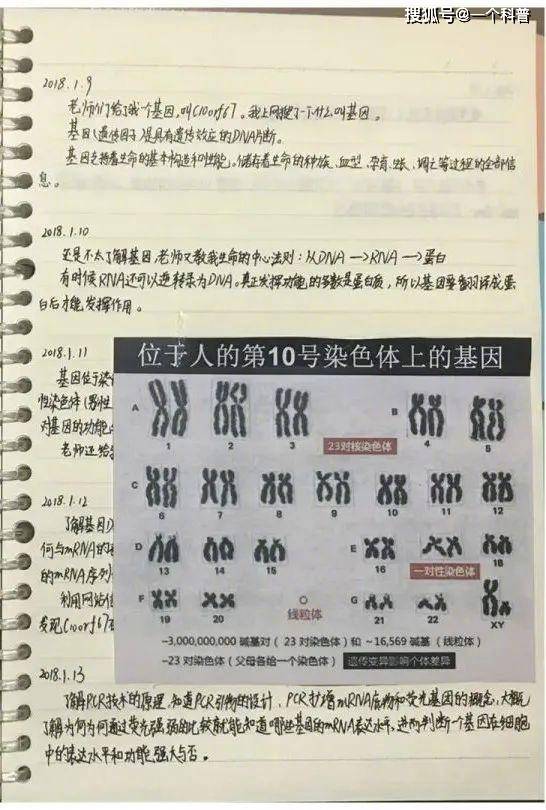 2024年12月2日 第79页