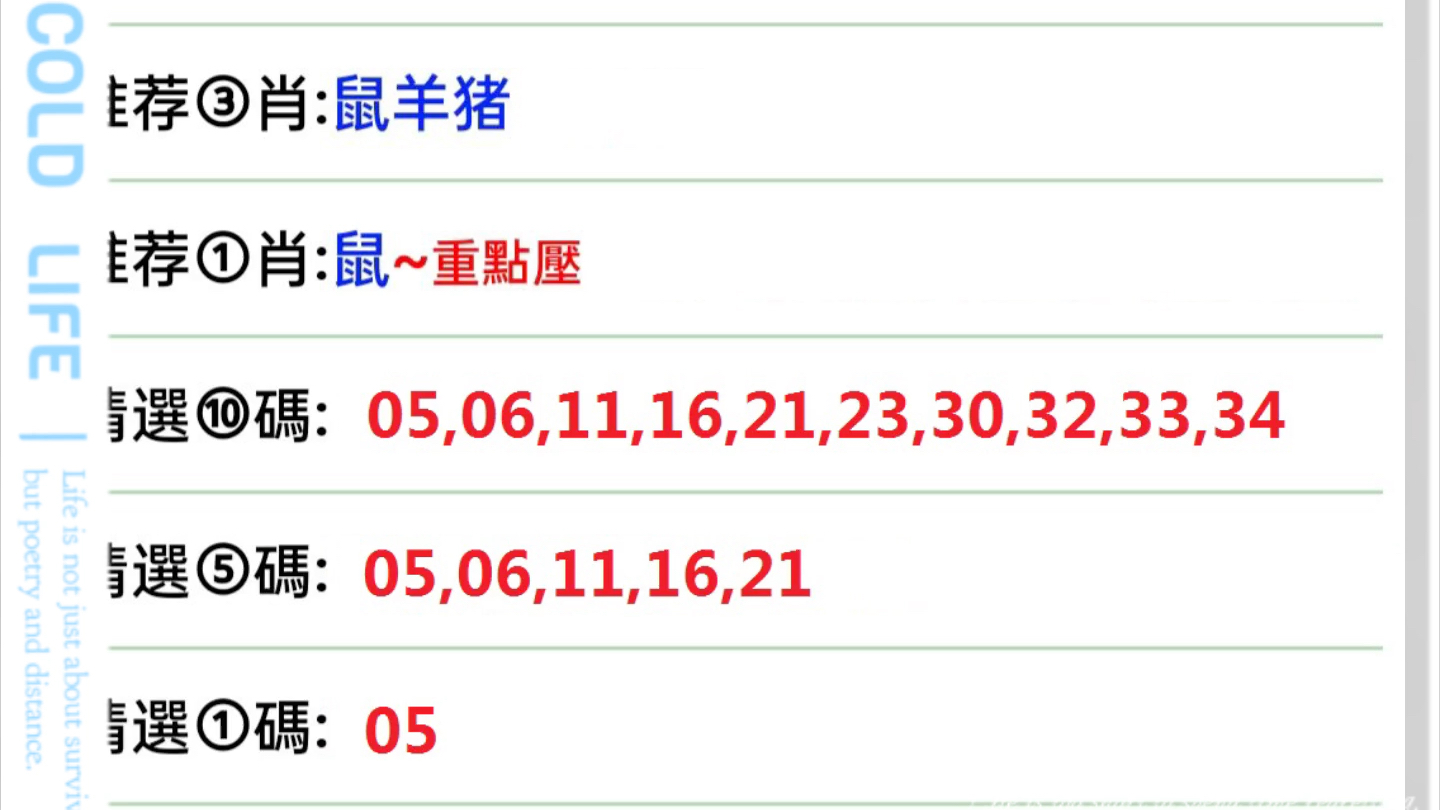 2024年12月2日 第21页