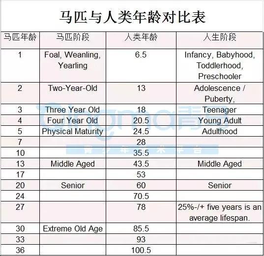 澳门三肖三码100%的资料,快速响应执行策略_特别款93.633