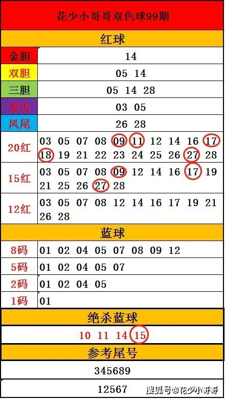 2024新澳今晚开奖号码139,实际应用解析说明_T29.920