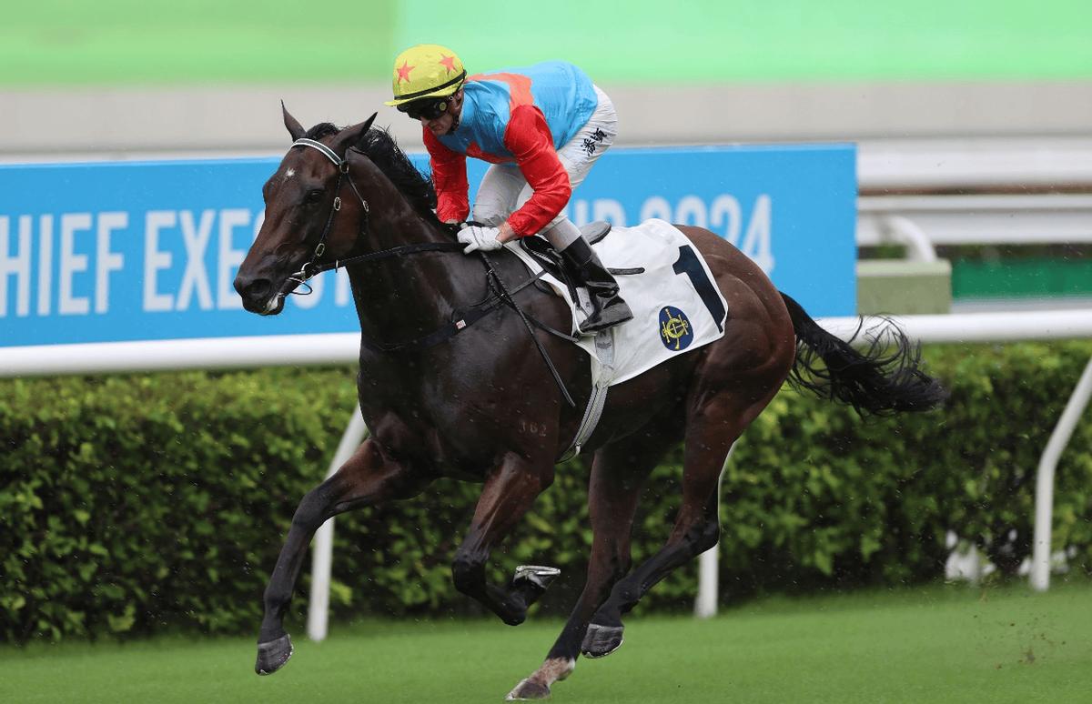 2024年香港正版资料更新时间,完整的执行系统评估_特别款57.351