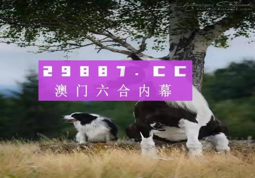 澳门跑狗,经济性执行方案剖析_粉丝版335.372